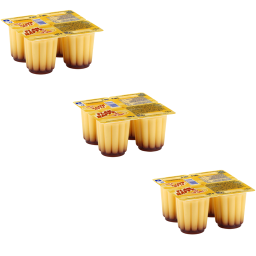 PROMO - Flan nappé caramel x12 - PROMO